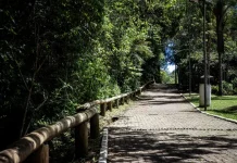 Um Dia no Parque oferece trilhas, oficinas e cultura no Morro da Cruz neste sábado (18) Foto do Parque Natural Municipal do Morro da Cruz, onde será realizado o evento Um Dia no Parque