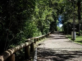 Um Dia no Parque oferece trilhas, oficinas e cultura no Morro da Cruz neste sábado (18) Foto do Parque Natural Municipal do Morro da Cruz, onde será realizado o evento Um Dia no Parque