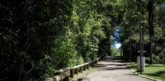 Foto do Parque Natural Municipal do Morro da Cruz, onde será realizado o evento Um Dia no Parque