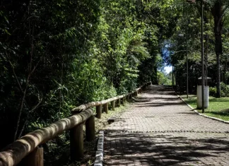 Um Dia no Parque oferece trilhas, oficinas e cultura no Morro da Cruz neste sábado (18) Foto do Parque Natural Municipal do Morro da Cruz, onde será realizado o evento Um Dia no Parque