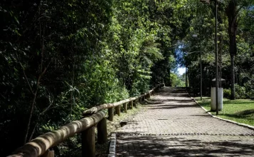 Um Dia no Parque oferece trilhas, oficinas e cultura no Morro da Cruz neste sábado (18) Foto do Parque Natural Municipal do Morro da Cruz, onde será realizado o evento Um Dia no Parque