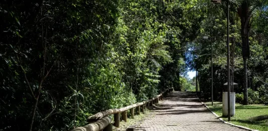 Um Dia no Parque oferece trilhas, oficinas e cultura no Morro da Cruz neste sábado (18) Foto do Parque Natural Municipal do Morro da Cruz, onde será realizado o evento Um Dia no Parque