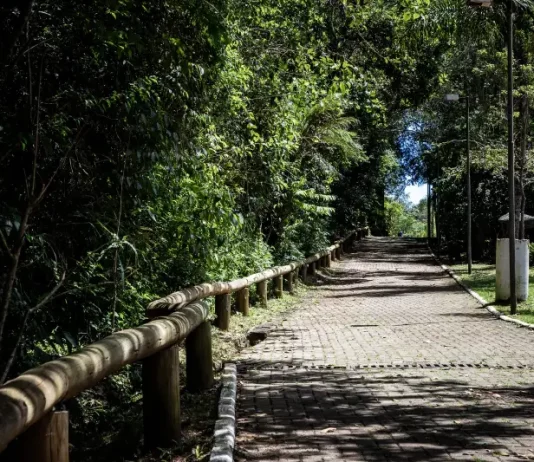 Um Dia no Parque oferece trilhas, oficinas e cultura no Morro da Cruz neste sábado (18) Foto do Parque Natural Municipal do Morro da Cruz, onde será realizado o evento Um Dia no Parque