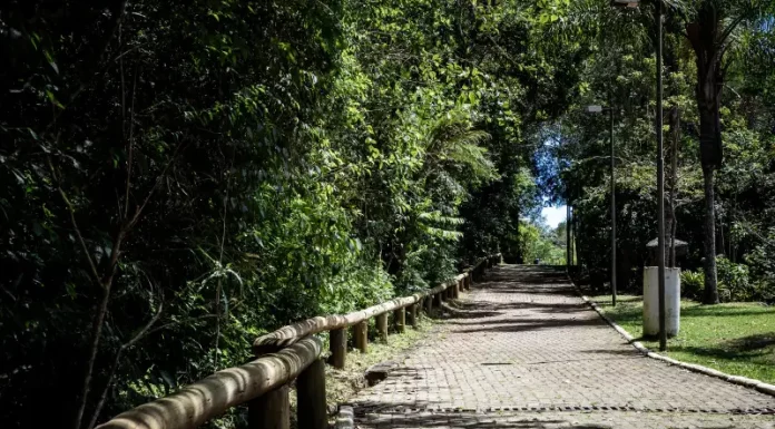 Um Dia no Parque oferece trilhas, oficinas e cultura no Morro da Cruz neste sábado (18) Foto do Parque Natural Municipal do Morro da Cruz, onde será realizado o evento Um Dia no Parque