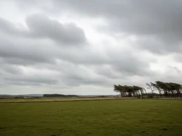 Ventos podem superar 80 km/h em algumas regiões de Santa Catarina Árvores inclinadas pela força do vento sob céu encoberto, ilustrando a ocorrência de ventos fortes e a instabilidade do tempo em uma área rural.