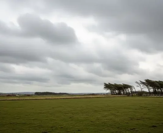 Ventos podem superar 80 km/h em algumas regiões de Santa Catarina Árvores inclinadas pela força do vento sob céu encoberto, ilustrando a ocorrência de ventos fortes e a instabilidade do tempo em uma área rural.