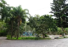 Agosto Lilás: Florianópolis realiza Jardim Lilás com plantio de mudas Foto do Parque Ecológico do Córrego Grande onde será realizado o evento do Agosto Lilás