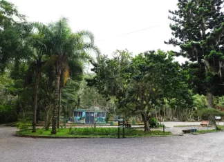 Foto do Parque Ecológico do Córrego Grande onde será realizado o evento do Agosto Lilás