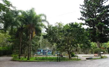 Foto do Parque Ecológico do Córrego Grande onde será realizado o evento do Agosto Lilás