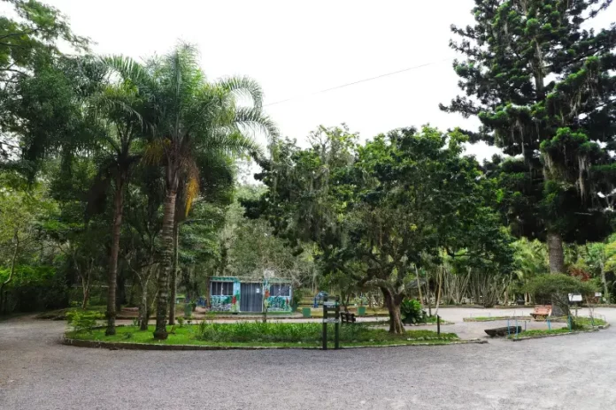 Agosto lilas_Florianópolis Foto do Parque Ecológico do Córrego Grande onde será realizado o evento do Agosto Lilás