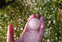 Mais de mil famílias são atendidas após temporal com granizo em Florianópolis Pessoa segurando granizo na mão após temporal em Florianópolis