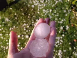 Pessoa segurando granizo na mão após temporal em Florianópolis