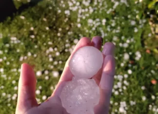 Mais de mil famílias são atendidas após temporal com granizo em Florianópolis Pessoa segurando granizo na mão após temporal em Florianópolis