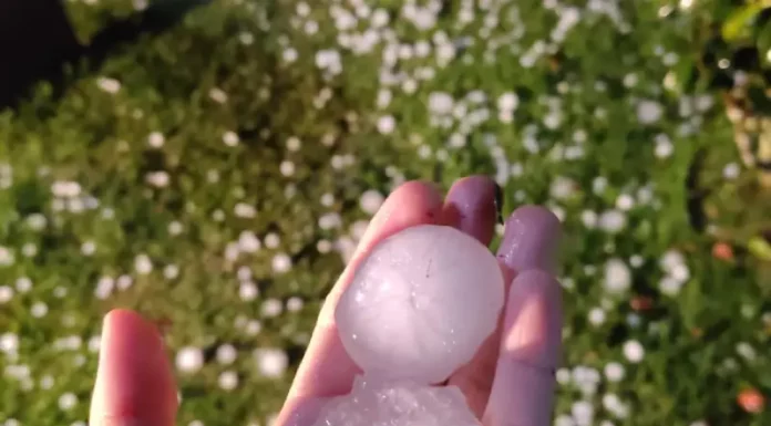 Mais de mil famílias são atendidas após temporal com granizo em Florianópolis Pessoa segurando granizo na mão após temporal em Florianópolis