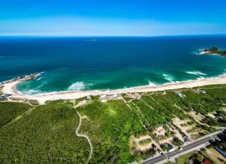 Florianópolis abre consulta pública sobre acessos às praias no Leste da Ilha Foto da Praia Mole em Florianópolis