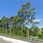 Foto da SC-401