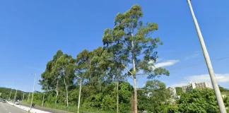 Foto da SC-401