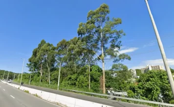 SC-401 terá restrição de trânsito no sentido centro-bairro nos próximos dois sábados Foto da SC-401