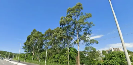 SC-401 terá restrição de trânsito no sentido centro-bairro nos próximos dois sábados Foto da SC-401