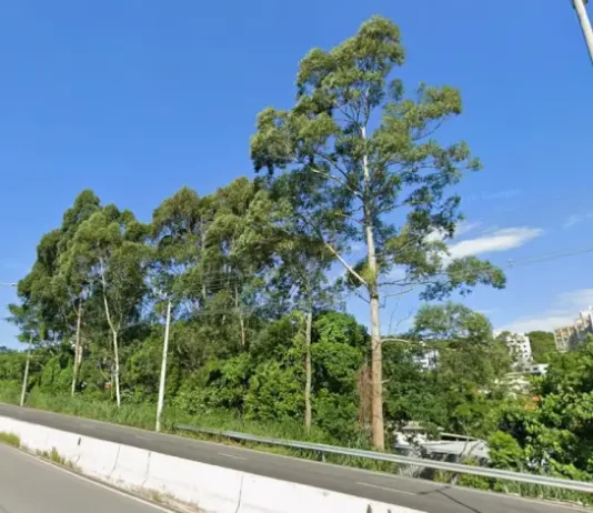 SC-401 terá restrição de trânsito no sentido centro-bairro nos próximos dois sábados Foto da SC-401