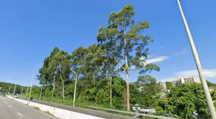SC-401 terá restrição de trânsito no sentido centro-bairro nos próximos dois sábados Foto da SC-401