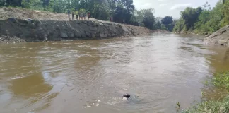 Bombeiros mergulhando no Rio Cubatão em busca de menino de seis anos