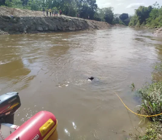 Bombeiros intensificam buscas por menino de 6 anos no Rio Cubatão Bombeiros mergulhando no Rio Cubatão em busca de menino de seis anos