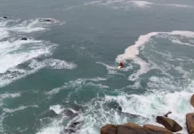 Bombeiros fazem buscas por homem desaparecido na Praia Brava Bombeiros realizando buscas por homem desaparecido na Praia Brava, em Florianópolis