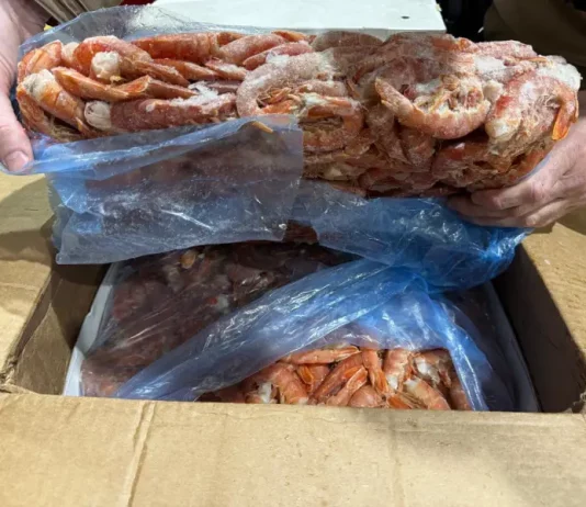 Mais de 5 toneladas de camarão são apreendidas em Indaial Foto da carga de camarão apreendida em Indaial