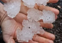Chuva intensa e granizo causam danos em 23 municípios de Santa Catarina Mãos segurando pedras de granizo após chuva intensa em Santa Catarina