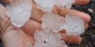 Mãos segurando pedras de granizo após chuva intensa em Santa Catarina