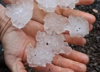 Chuva intensa e granizo causam danos em 23 municípios de Santa Catarina Mãos segurando pedras de granizo após chuva intensa em Santa Catarina