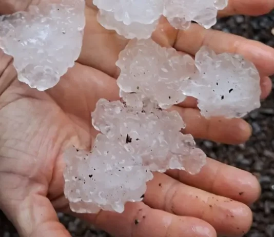 Chuva intensa e granizo causam danos em 23 municípios de Santa Catarina Mãos segurando pedras de granizo após chuva intensa em Santa Catarina