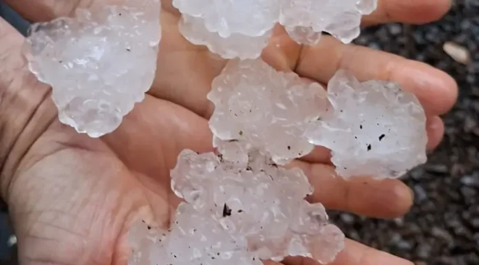 Chuva intensa e granizo causam danos em 23 municípios de Santa Catarina Mãos segurando pedras de granizo após chuva intensa em Santa Catarina