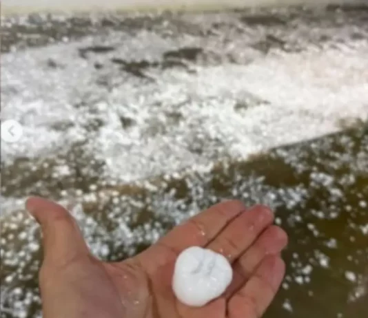 Mais de mil famílias são atendidas após temporal com granizo em Florianópolis