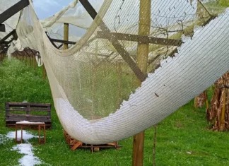 Chuvas causam estragos em 14 municípios de SC e risco de temporais segue até sábado Foto mostra quantidade de granizo que caiu durante a noite por conta das fortes chuvas