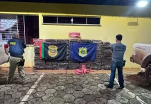 Polícia Civil e PRF apreendem 1,5 tonelada de maconha no Meio-Oeste catarinense Maconha apreendida pela Polícia Civil e PRF, no Meio-Oeste Catarinense