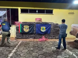 Polícia Civil e PRF apreendem 1,5 tonelada de maconha no Meio-Oeste catarinense Maconha apreendida pela Polícia Civil e PRF, no Meio-Oeste Catarinense