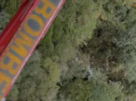 Vista aérea mostra área de mata onde foram encontrados os destroços do helicóptero com o cantor Rick.