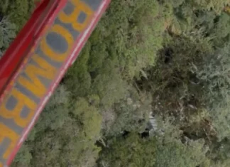 Vista aérea mostra área de mata onde foram encontrados os destroços do helicóptero com o cantor Rick.