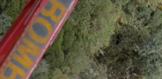 Cantor Rick, da dupla Rick & Renner, está entre os cinco mortos em acidente de helicóptero em Santa Catarina Vista aérea mostra área de mata onde foram encontrados os destroços do helicóptero com o cantor Rick.
