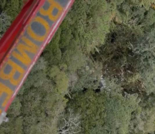 Vista aérea mostra área de mata onde foram encontrados os destroços do helicóptero com o cantor Rick.