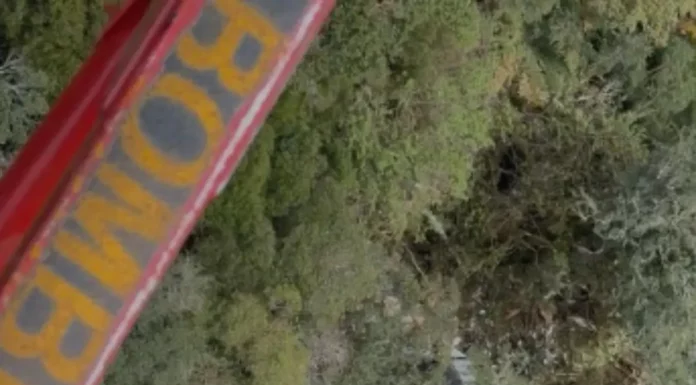Cantor Rick, da dupla Rick & Renner, está entre os cinco mortos em acidente de helicóptero em Santa Catarina Vista aérea mostra área de mata onde foram encontrados os destroços do helicóptero com o cantor Rick.