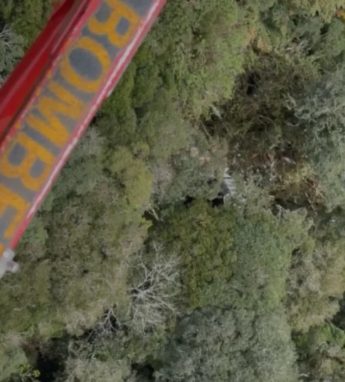 Vista aérea mostra área de mata onde foram encontrados os destroços do helicóptero com o cantor Rick.