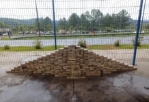 PF apreende 521 quilos de cocaína em SP e SC e encontra depósito subterrâneo em Itajaí Pacotes de cocaína apreendidos durante ação policial são exibidos após operação que encontrou 521 quilos da droga em Santa Catarina e São Paulo.