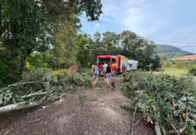 Árvores derrubadas por temporal bloqueiam estrada em Quilombo, no Oeste de Santa Catarina, onde vendavais e granizo causaram danos.