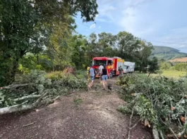 Temporais atingem 17 municípios em Santa Catarina; seis decretam situação de emergência Árvores derrubadas por temporal bloqueiam estrada em Quilombo, no Oeste de Santa Catarina, onde vendavais e granizo causaram danos.