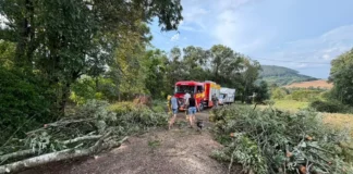 Árvores derrubadas por temporal bloqueiam estrada em Quilombo, no Oeste de Santa Catarina, onde vendavais e granizo causaram danos.