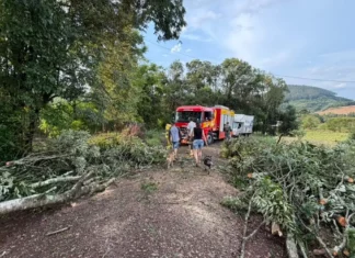 Árvores derrubadas por temporal bloqueiam estrada em Quilombo, no Oeste de Santa Catarina, onde vendavais e granizo causaram danos.