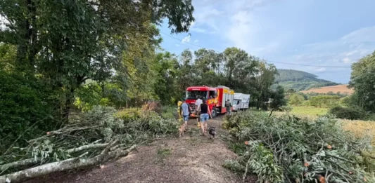 Árvores derrubadas por temporal bloqueiam estrada em Quilombo, no Oeste de Santa Catarina, onde vendavais e granizo causaram danos.